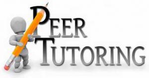 Peer Tutor Inservice P4 Sept. 29